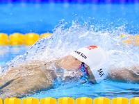 LOL-赛道上的绝对主宰，维斯塔潘的统治与迈凯伦的崛起