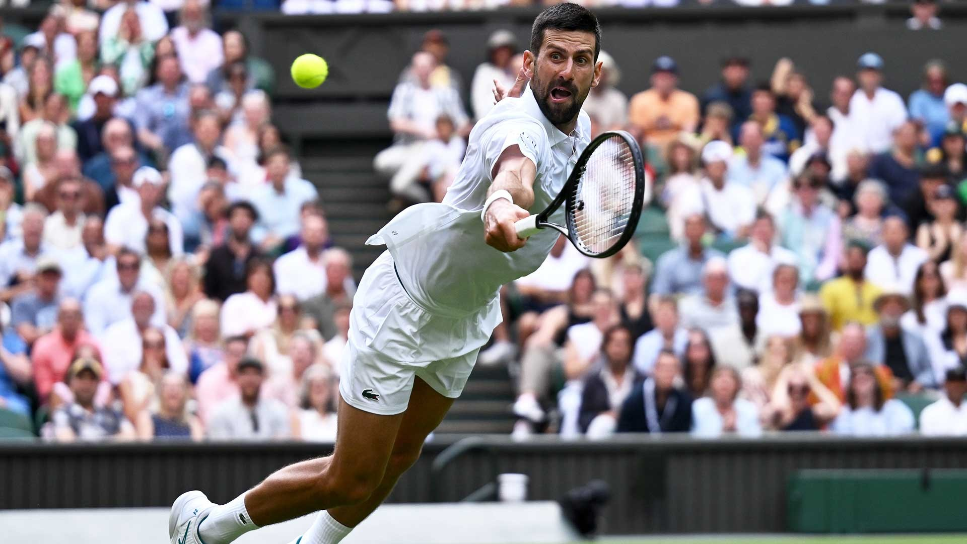 温网鏖战联合杯，德约科维奇点燃赛场的简单介绍