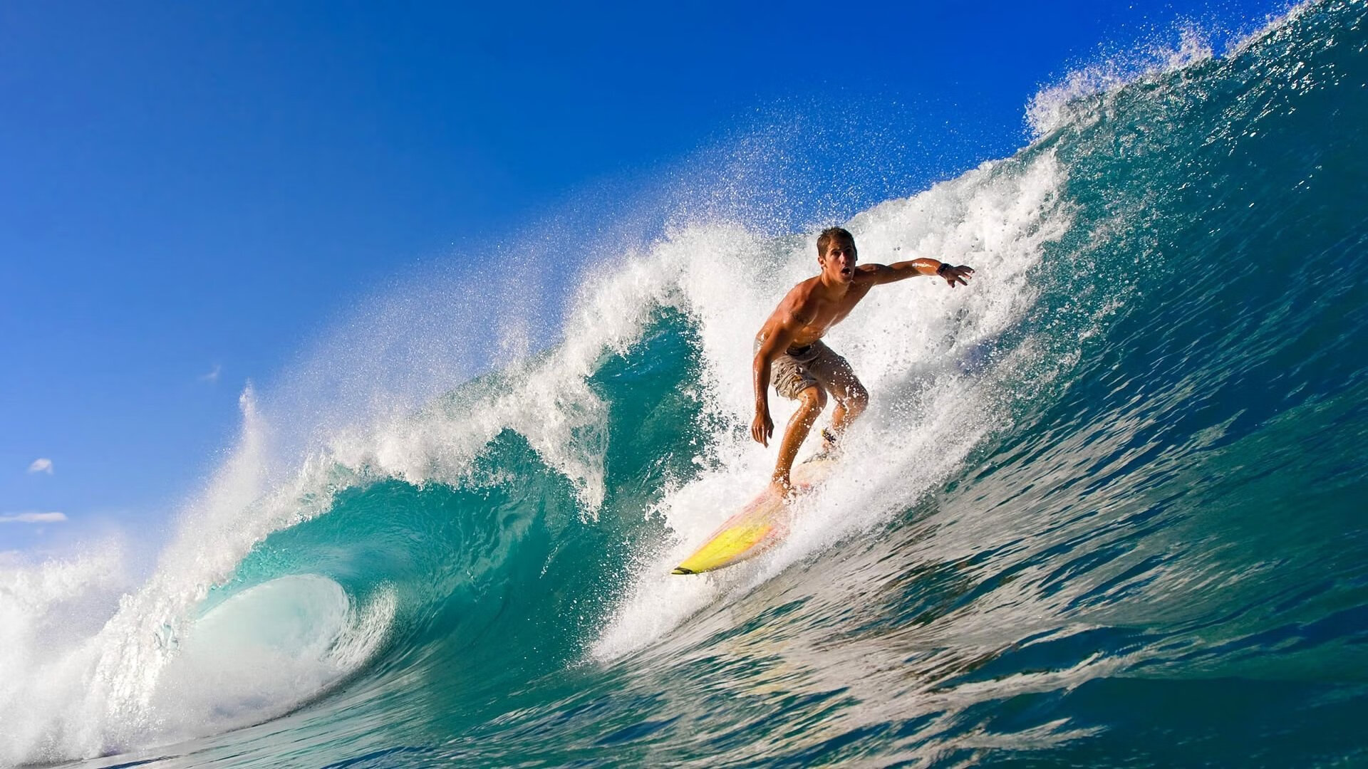 欧冠半决赛之夜，范弗利特刷新纪录，书写不朽传奇